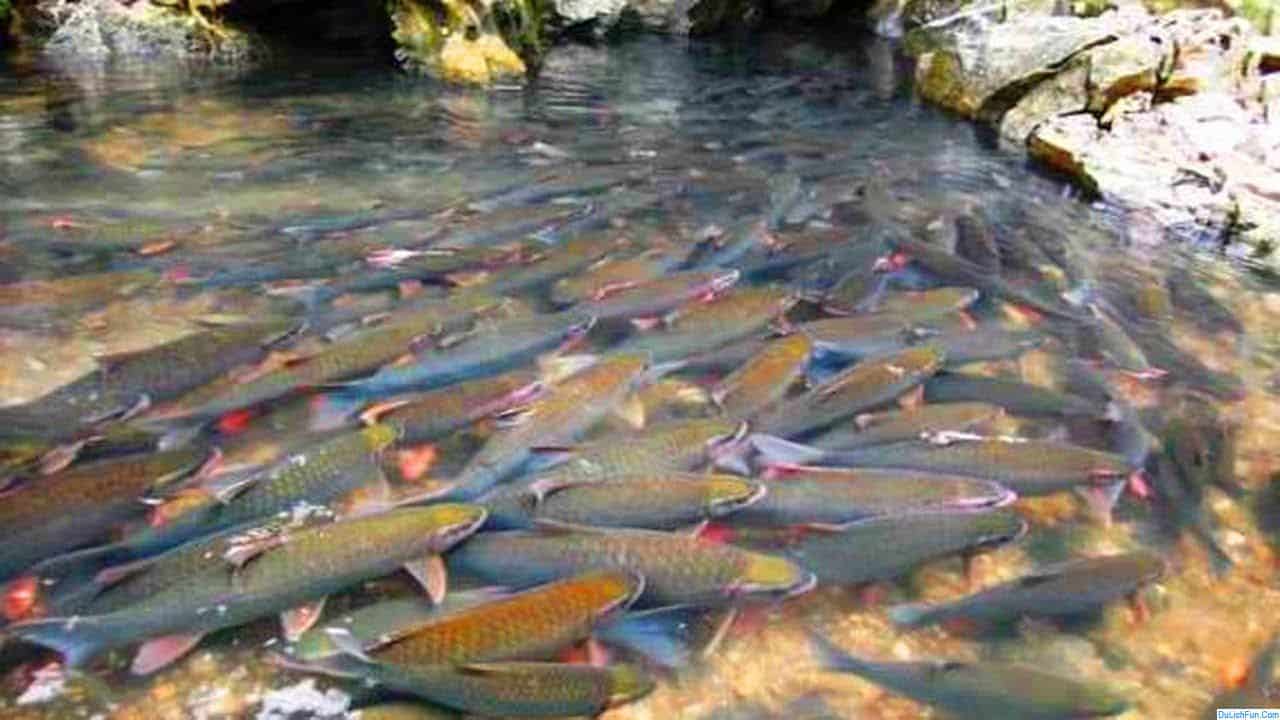 Tour Pù Luông - Suối Cá Thần 2 Ngày 1 Đêm