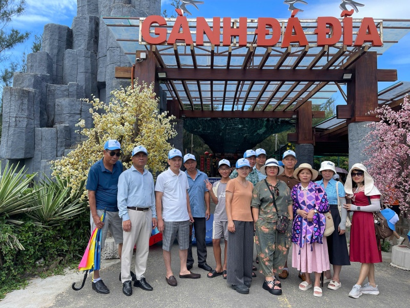 Tour Quy Nhơn Hoa Vàng Cỏ Xanh 4 ngày 3 đêm