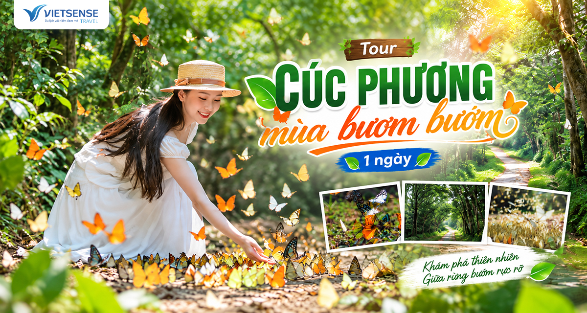 Tour Rừng Cúc Phương mùa bươm bướm 1 ngày