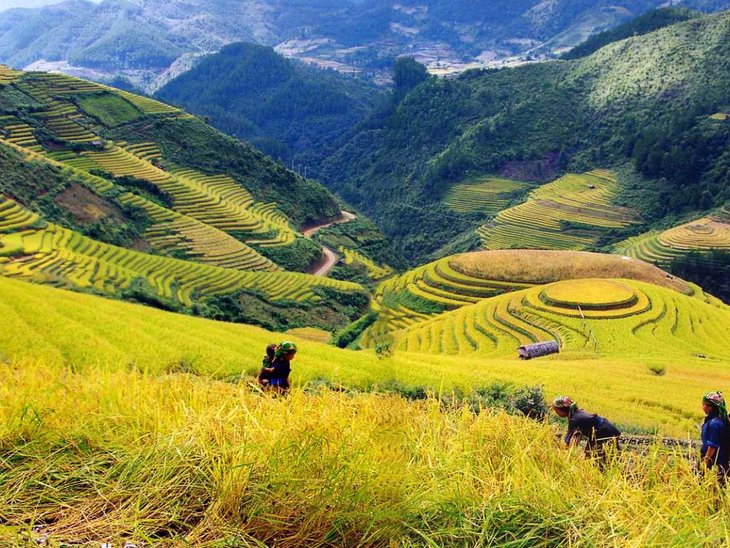 Tour Sapa 2 ngày 1 đêm trọn gói khởi hành hàng ngày