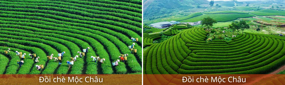 Tour Sơn La - Điện Biên - Mộc Châu 3 ngày 2 đêm
