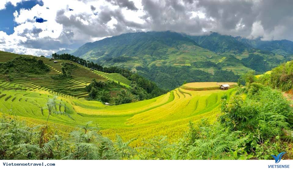 Tour Tây Bắc lễ 2/9 Sơn La - Điện Biên - Mộc Châu Giá Tốt 2025