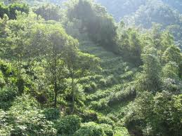 Tour Tam Đảo 2 Ngày 1 Đêm