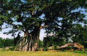 Tour Tân Trào Hồ Núi Cốc 2 Ngày 1 Đêm