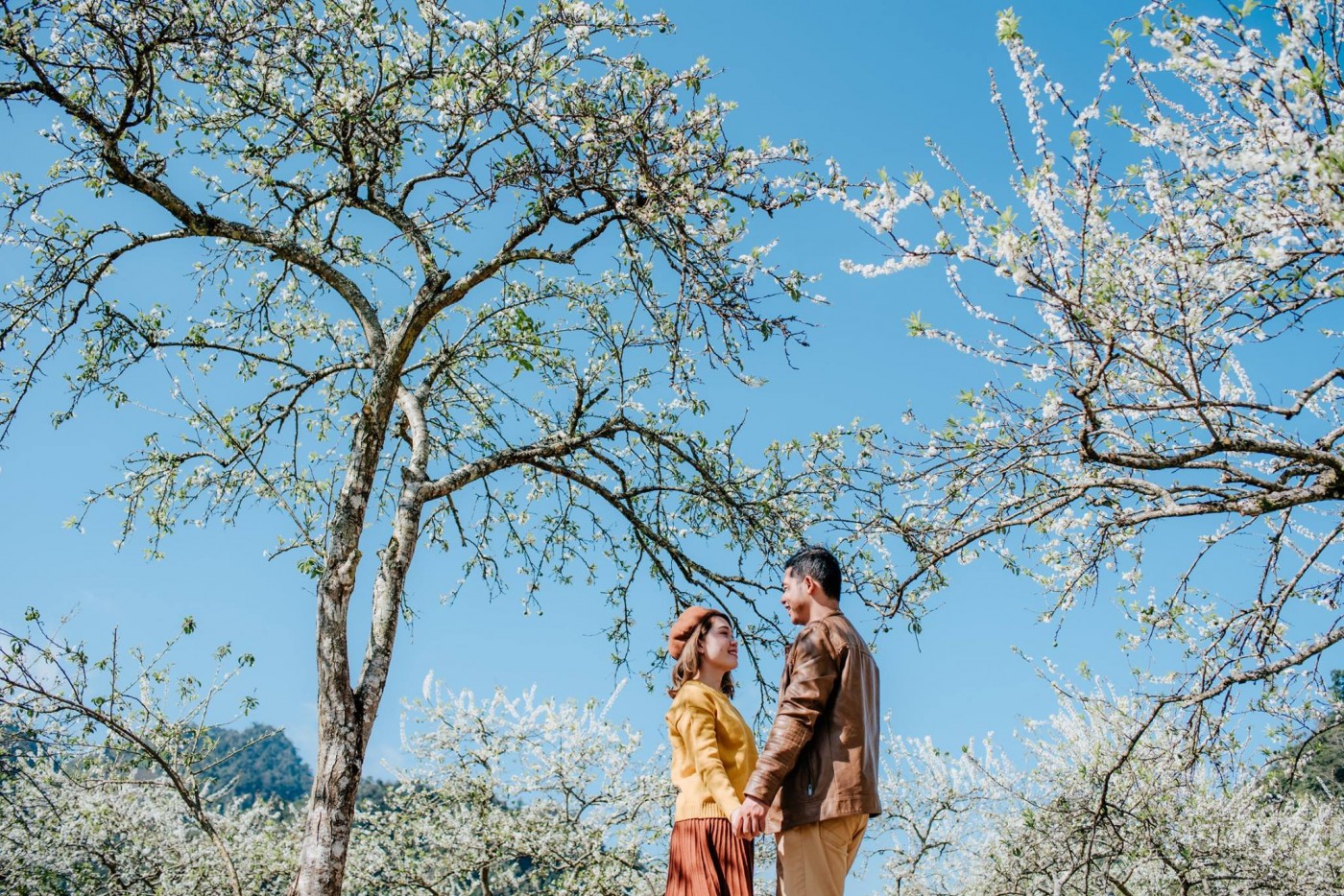 TOUR TÂY BẮC MÙA HOA MƠ HOA MẬN