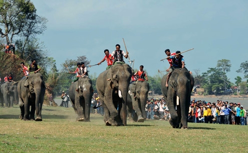 Tour Tây Nguyên 3 Ngày 2 Đêm: Tham Gia Lễ Hội Đua Voi Tháng 3
