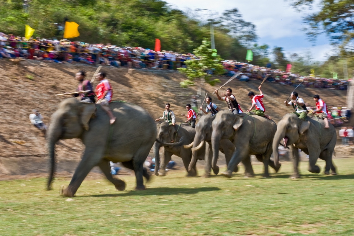 Tour Tây Nguyên 3 Ngày 2 Đêm: Tham Gia Lễ Hội Đua Voi Tháng 3