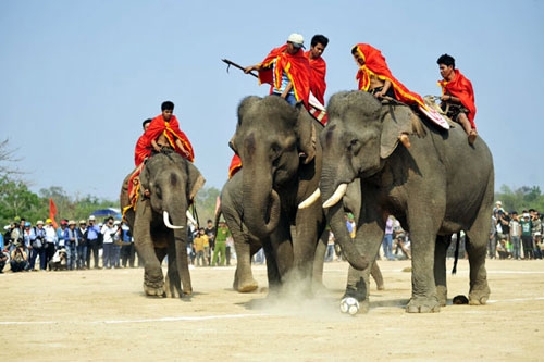 Tour Tây Nguyên 3 Ngày 2 Đêm: Tham Gia Lễ Hội Đua Voi Tháng 3