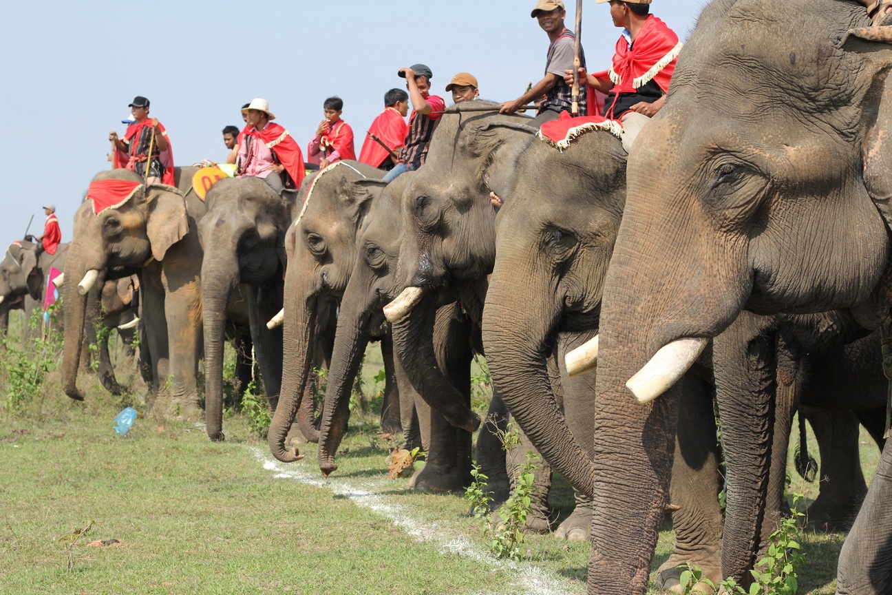 Tour Tây Nguyên 3 Ngày 2 Đêm: Tham Gia Lễ Hội Đua Voi Tháng 3