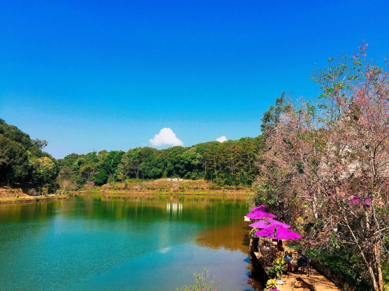 Tour Tây Nguyên 5 ngày 4 đêm: Buôn Ma Thuột - Gia Lai - Măng Đen - Kon Tum