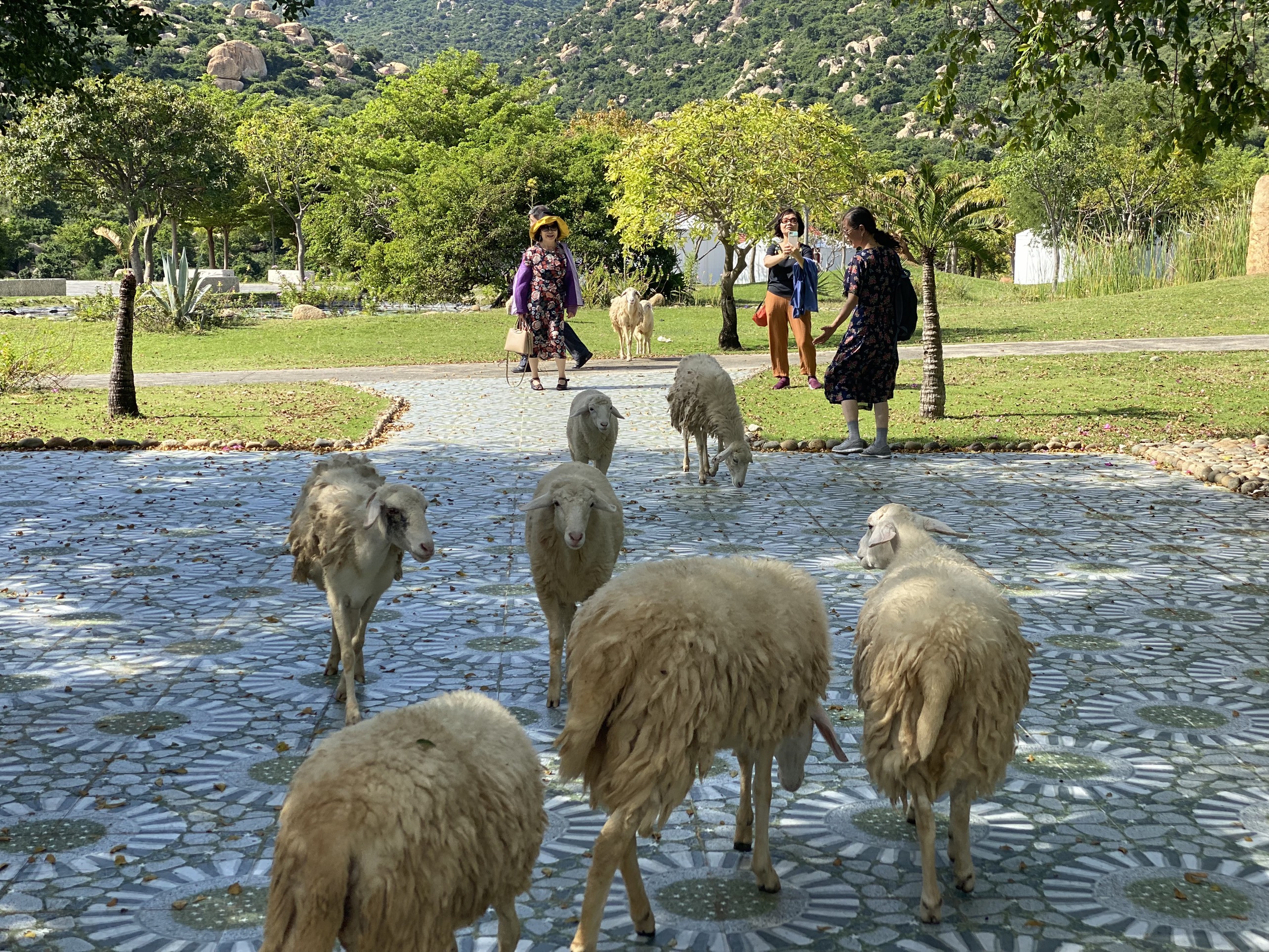 Tour Tết Nguyên Đán Nha Trang - Ninh Thuận