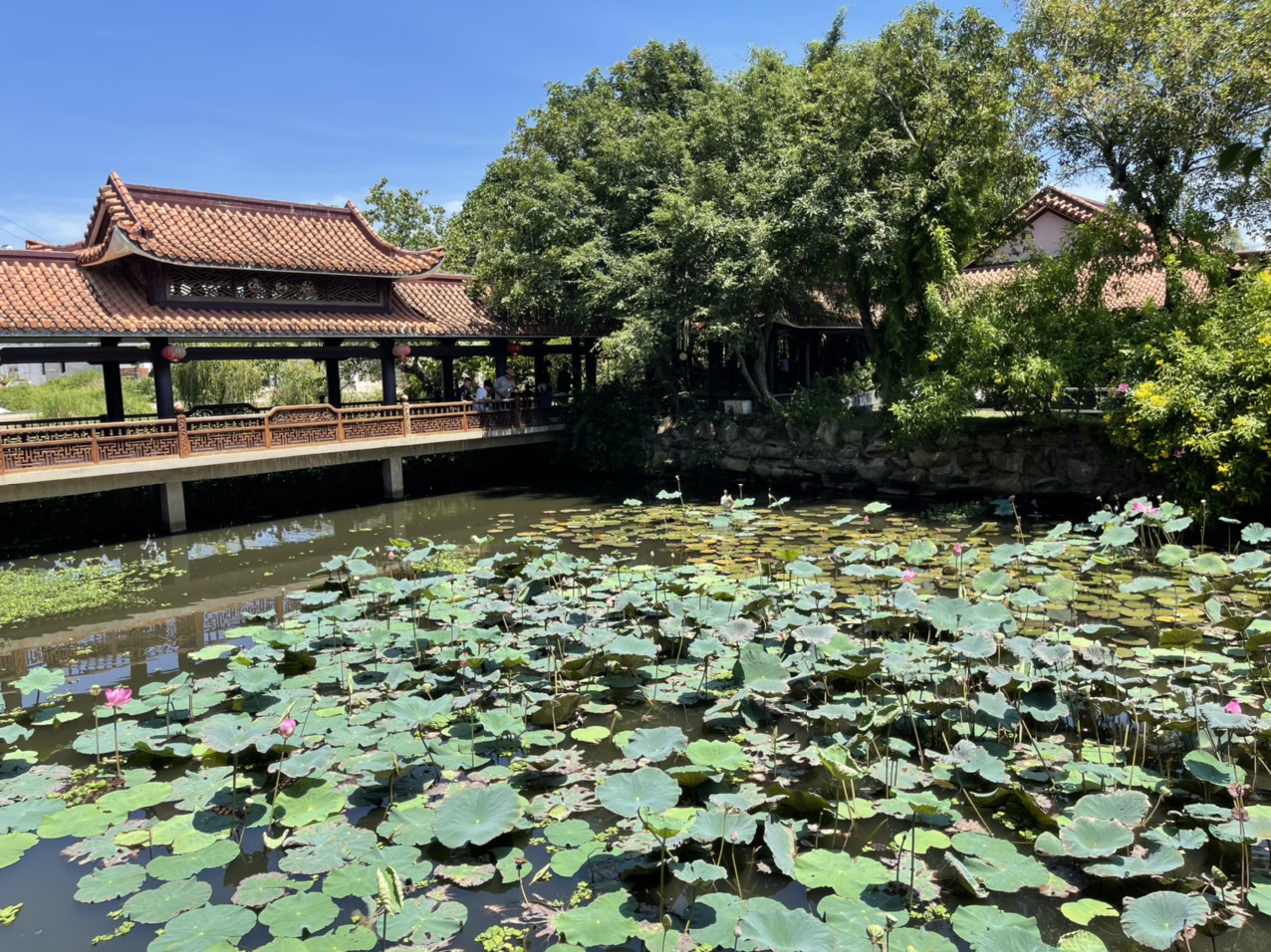 Tour Tết Nguyên Đán Phú Yên 3 Ngày
