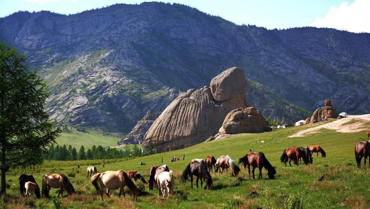 Tour Tết Nguyên Đán tại Mông Cổ