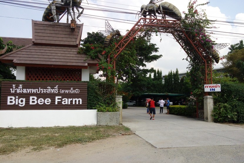Tour Thái Lan Pattaya