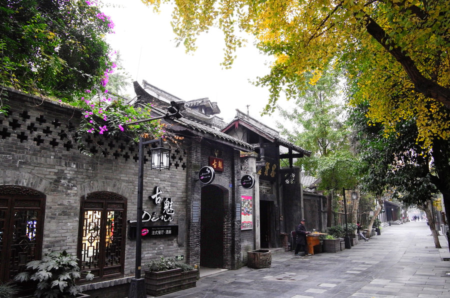 Tour Thành Đô - Công Viên Gấu Trúc - Cửu Trại Câu - Đô Giang Yển