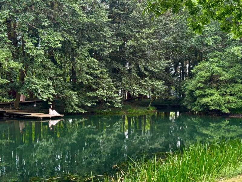 Tour Thượng Hải – Hàng Châu – Ô Trấn Tây Sách 5 Ngày