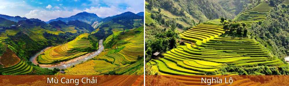 Tour lễ 2/9 Trạm Tấu - Mù Cang Chải - Tú Lệ