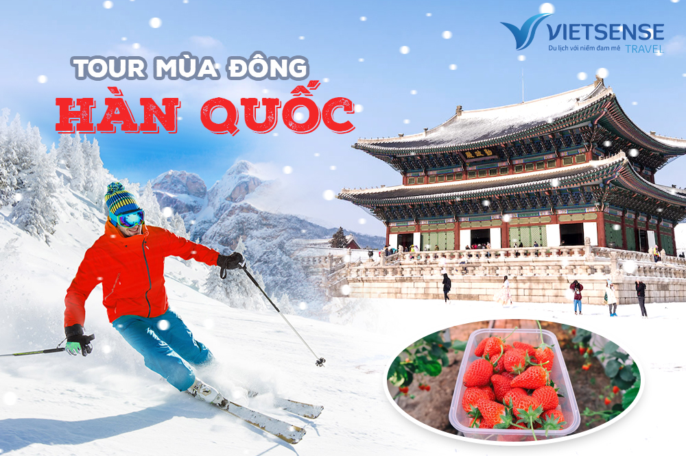 TOUR TRƯỢT TUYẾT - HÁI DÂU TẠI HÀN QUỐC BAY JEJU AIR