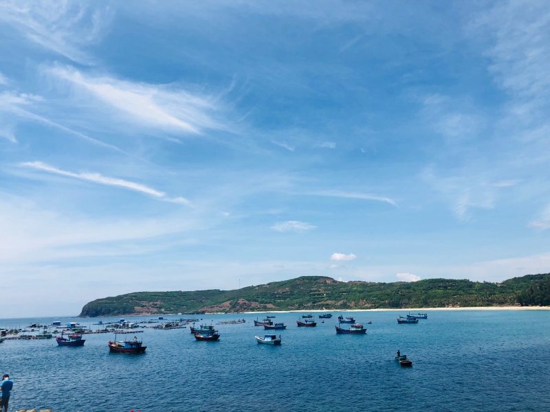 Tour Tuy Hòa Đất Võ Bình Định 4 ngày 3 đêm