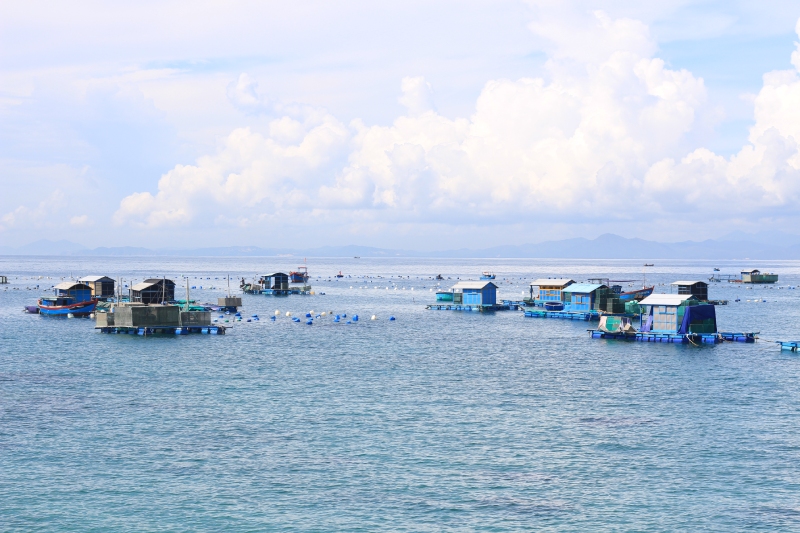 Tour Tuy Hòa Đất Võ Bình Định 4 ngày 3 đêm