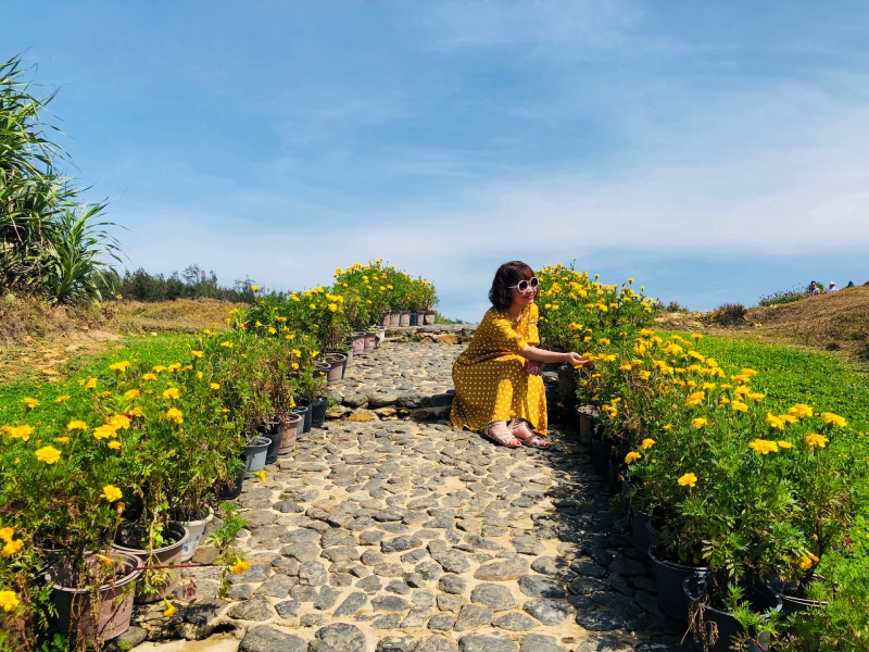 Tour Tuy Hòa Phú Yên 3 ngày 2 đêm