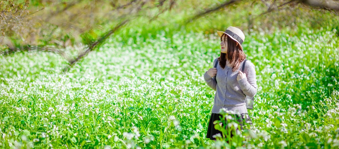 Tour Tuyên Quang - Hà Giang Tết Dương Lịch