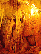 Tour Vườn quốc gia Cúc Phương - Đầm Vân Long 2 Ngày