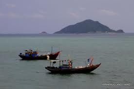 Tour Xem Víc Đẻ Trứng trên hòn Bảy Cạnh ở Côn Đảo