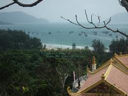 Tour Xem Víc Đẻ Trứng trên hòn Bảy Cạnh ở Côn Đảo