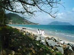 Tour Xem Víc Đẻ Trứng trên hòn Bảy Cạnh ở Côn Đảo