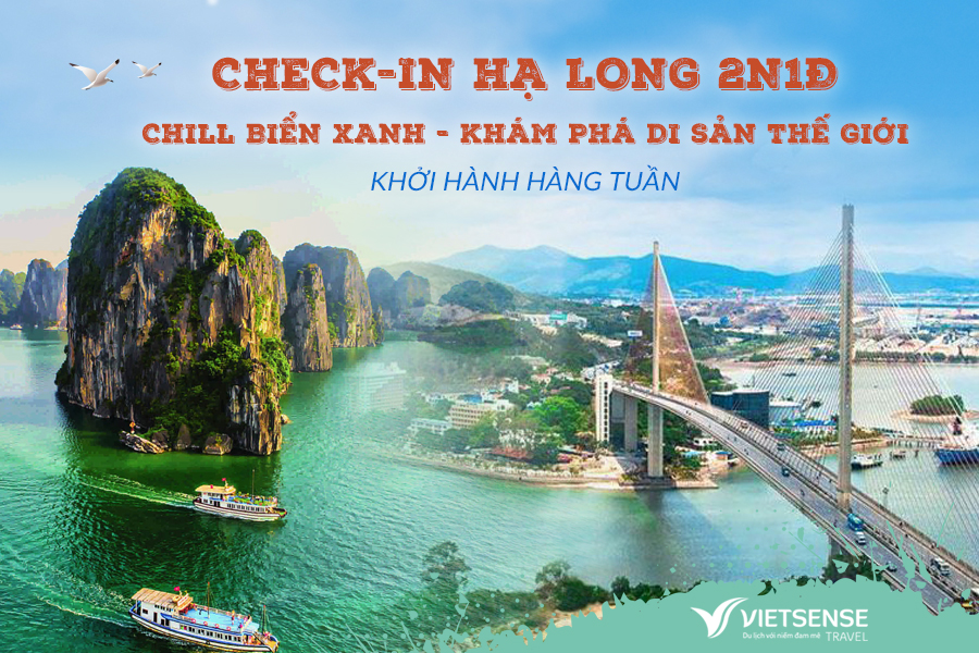 VỊNH HẠ LONG - HẠ LONG PARK - BÃI CHÁY