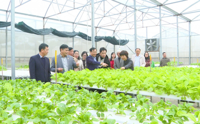 3 yếu tố khiến du lịch nông nghiệp ngày càng được yêu thích