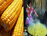 9 Đặc Sản Độc Đáo Của Vùng Cao Hà Giang