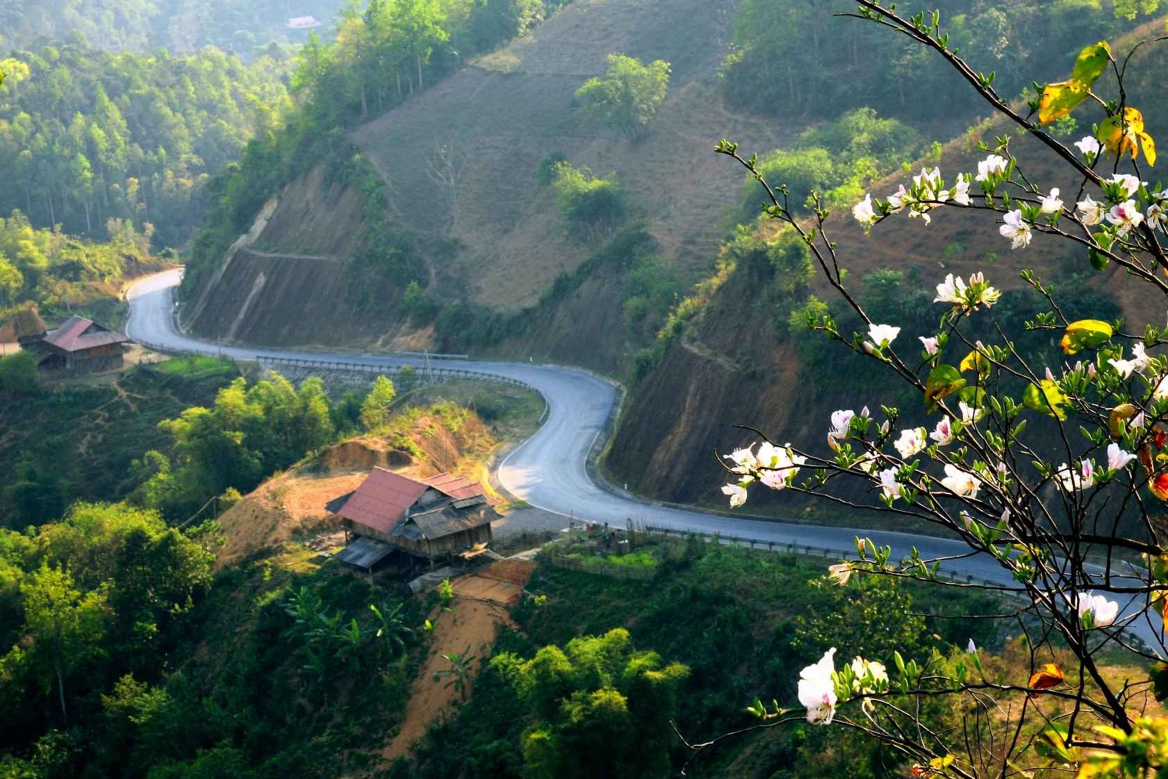 Ăn gì và ở đâu khi đi Tây Bắc