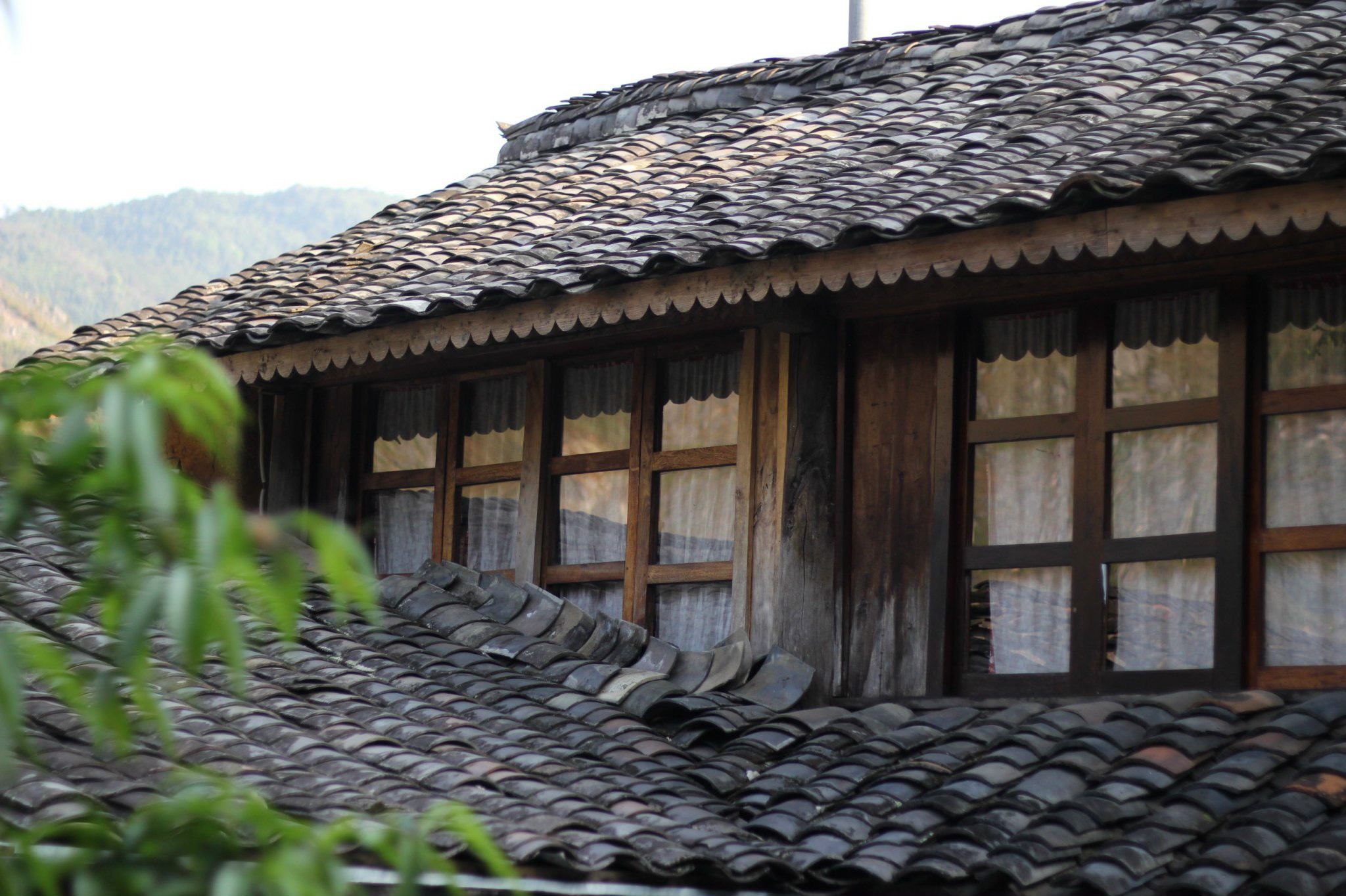 Auberge De MeoVac Homestay: Thông tin dịch vụ và giá phòng