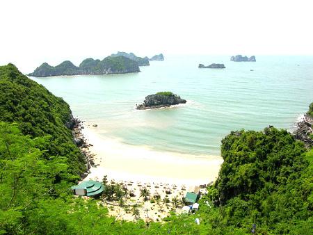 Bái tử long