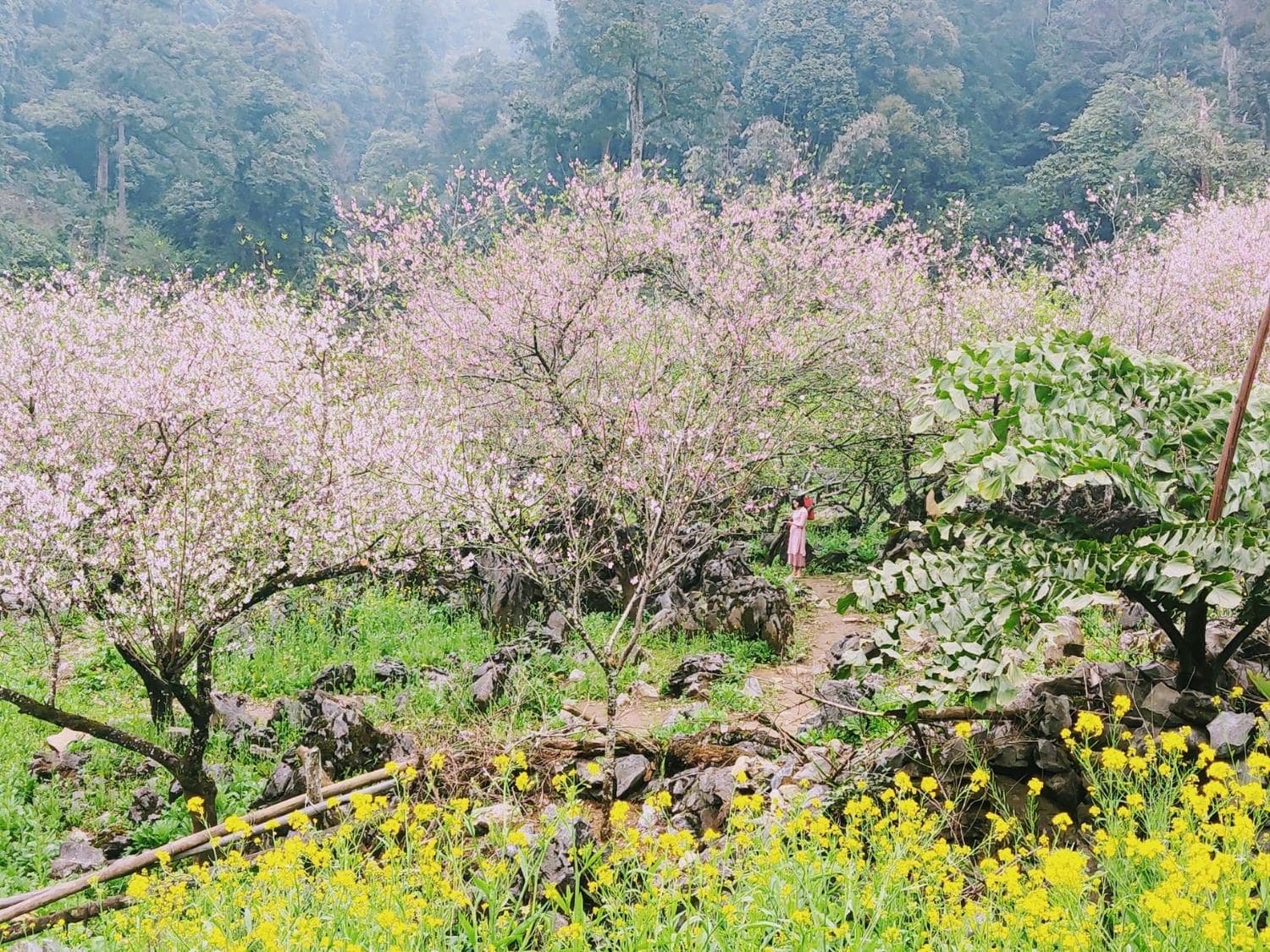 bản Lóng Luông