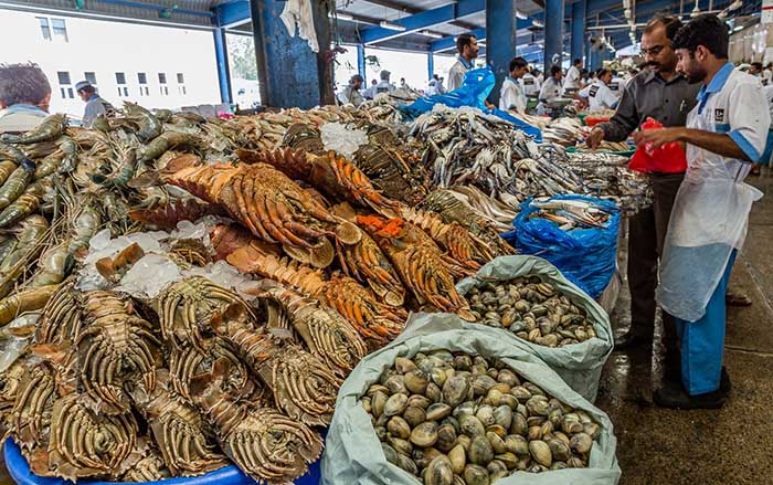 Bất Ngờ Với Chợ Hải Sản Tựa Như Thủy Cung ở Dubai