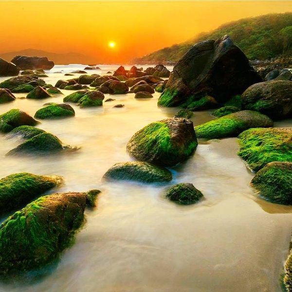Biển Nam Ô-Thiên đường San hô