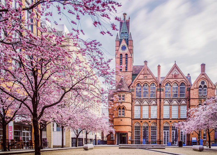 Đến Birmingham và Coventry tham quan những điểm nào? 14 điểm du lịch đẹp