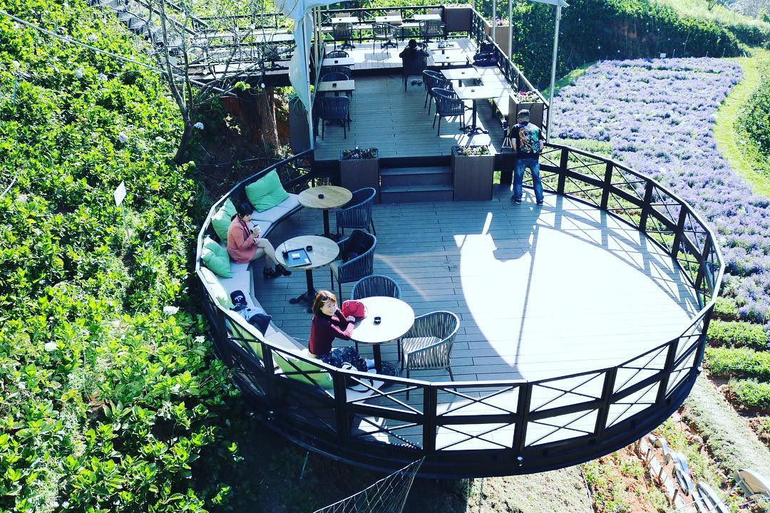Cafe F Đà Lạt – Nơi check - in “siêu thực” của tín đồ sống ảo