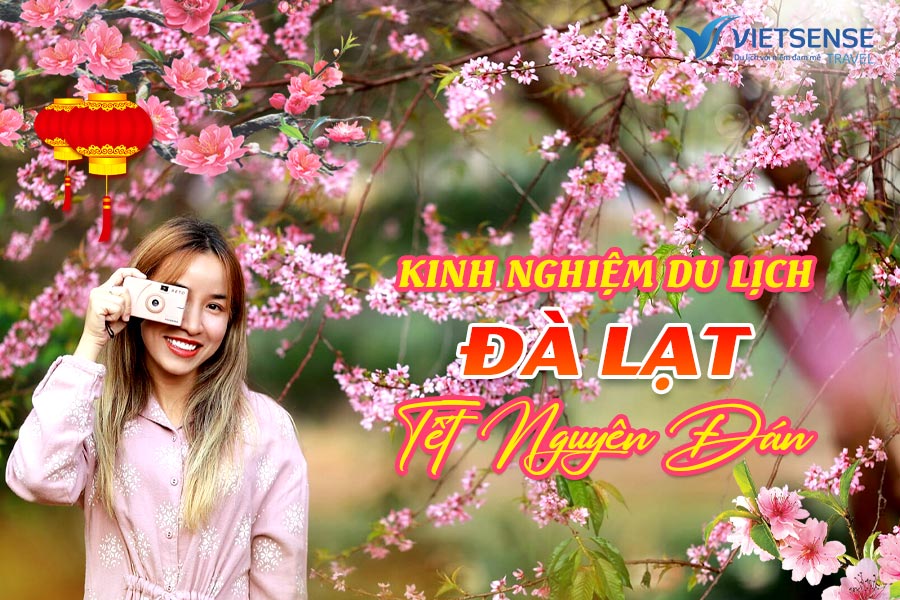Cẩm nang du lịch Đà Lạt dịp Tết Nguyên Đán dành cho người mới
