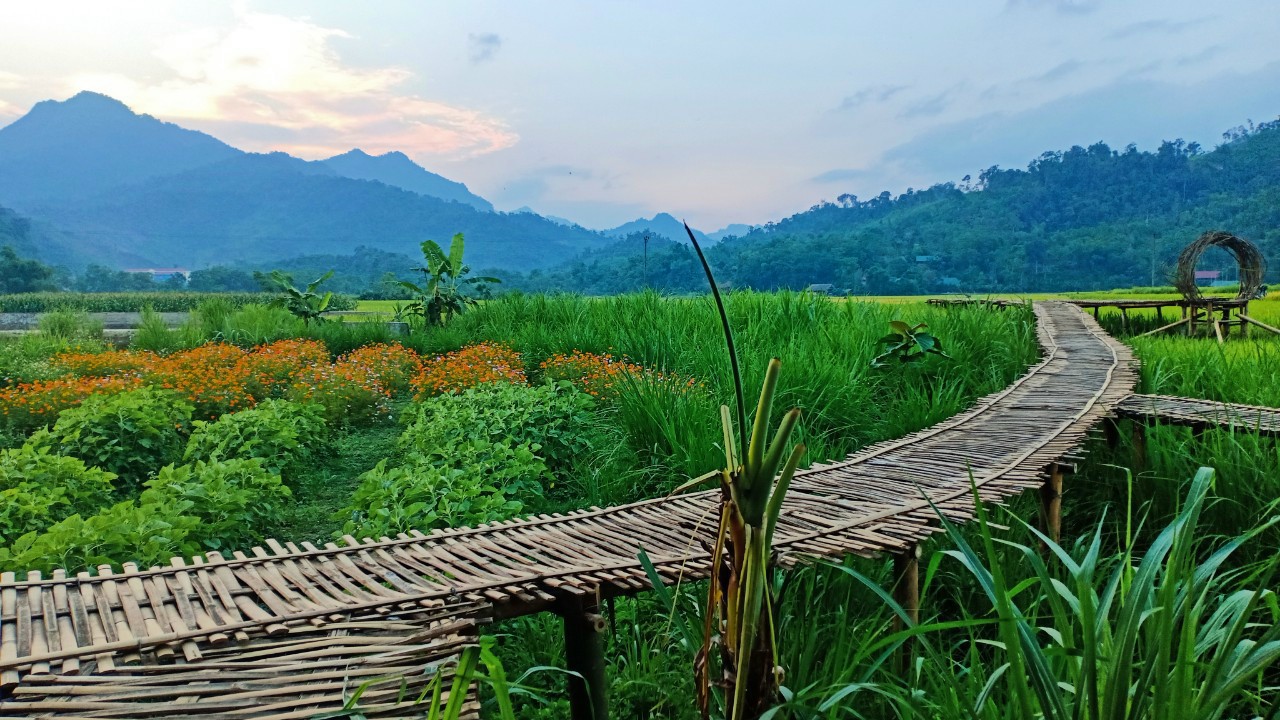 Chiến lược phát triển du lịch Xanh theo xu hướng tương lai