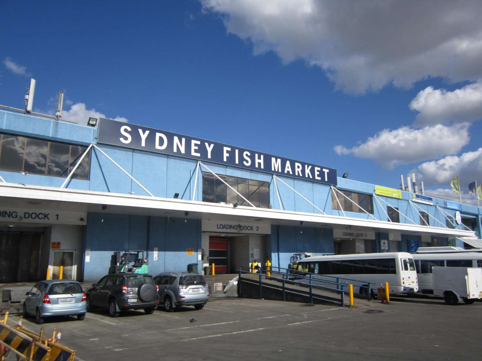Chợ cá Sydney – Thưởng thức hải sản ngon đến nức lòng