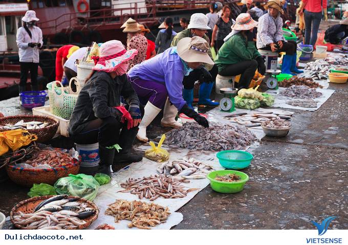Chợ hải sản Cô Tô có nét lạ với vùng biển khác