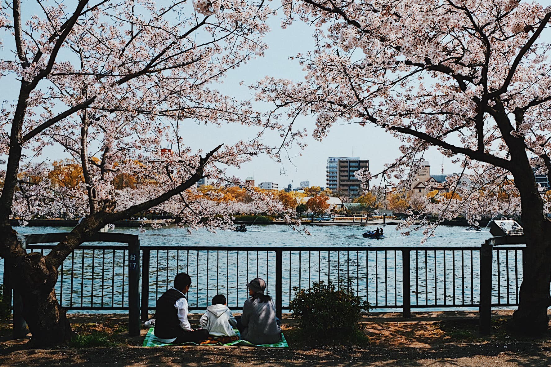 Các địa điểm chơi đêm Kyoto hấp dẫn nhất 2025