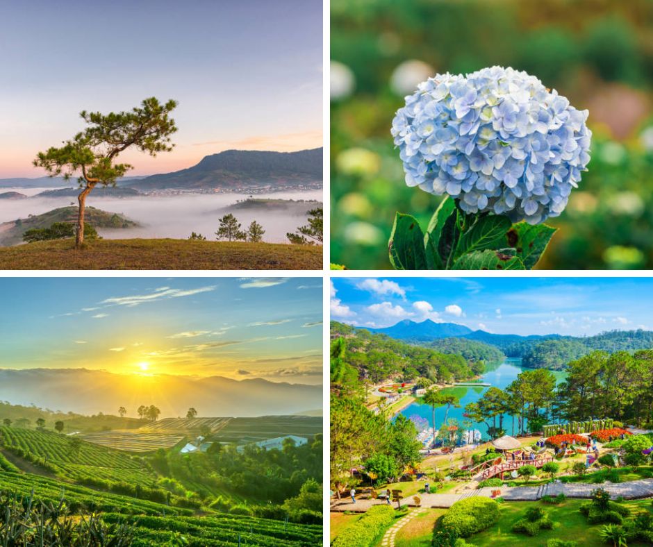 CHƯƠNG TRÌNH TOUR CHI TIẾT: - Ảnh 2