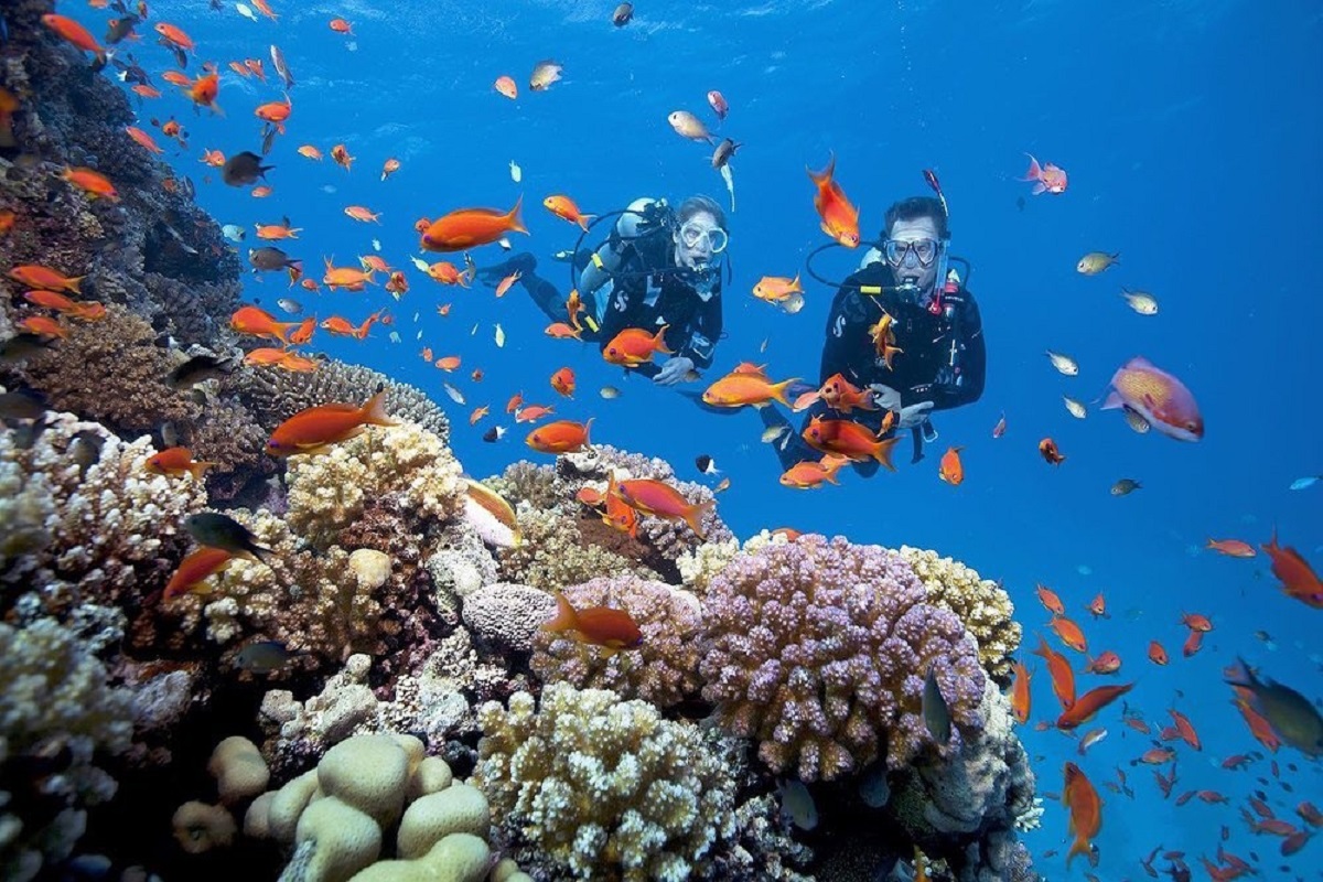 CHƯƠNG TRÌNH TOUR CHI TIẾT - Ảnh 4