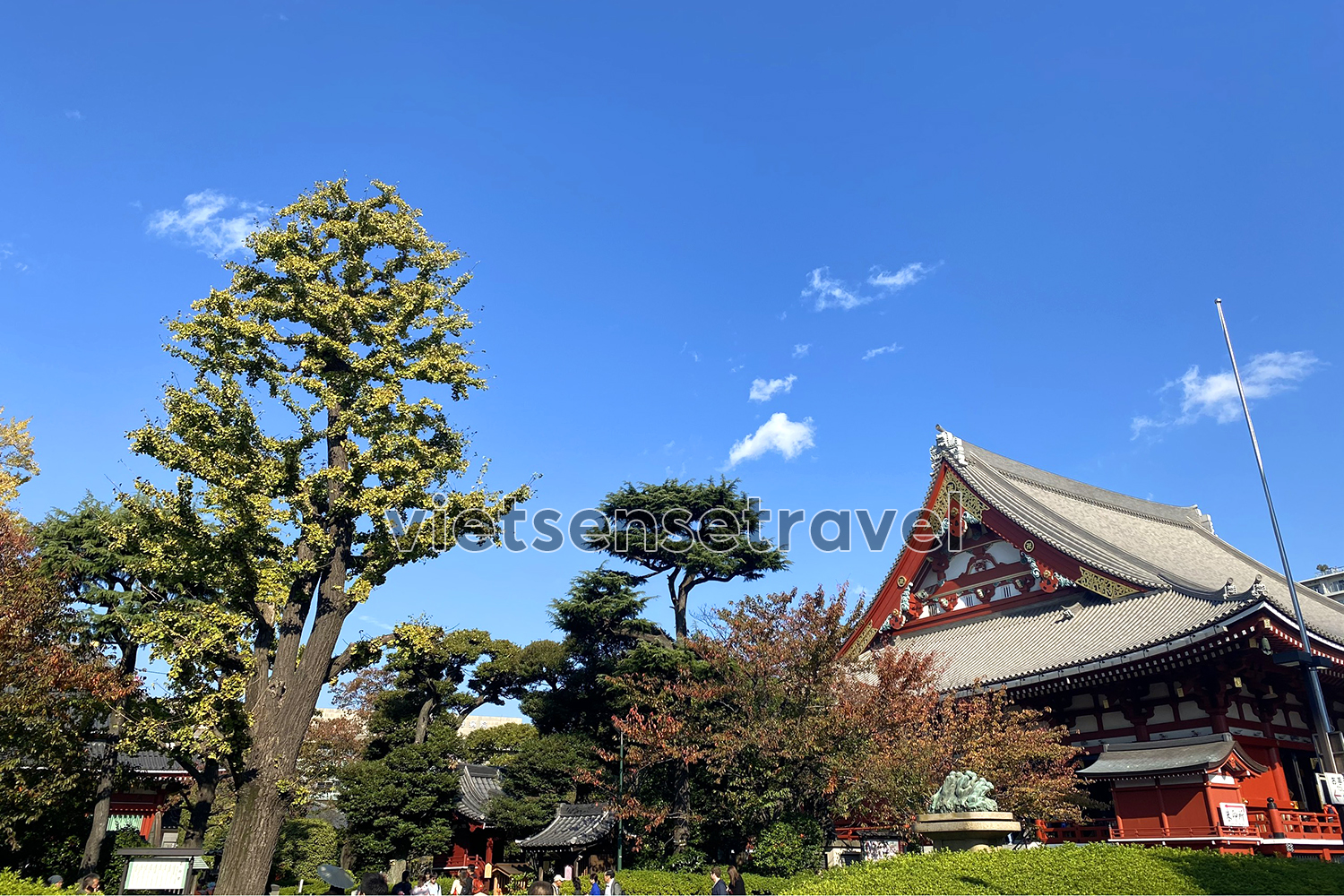 Những lời khuyên chuyến đi Tokyo mùa hè