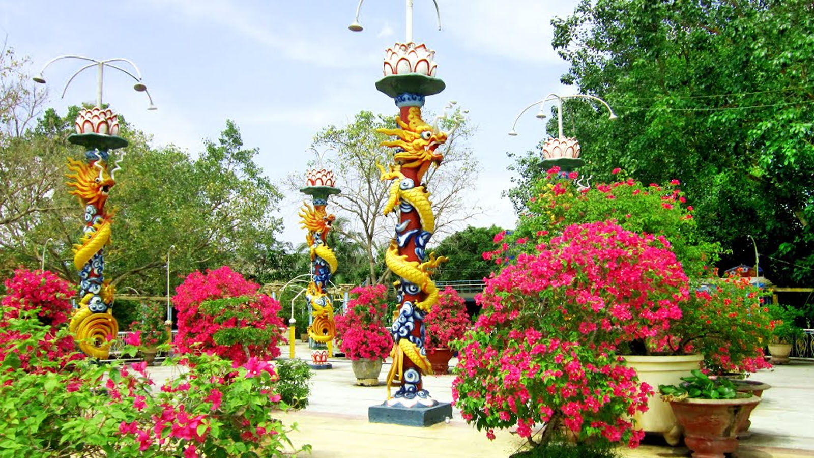 Cồn Phụng (Đạo Dừa)